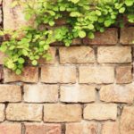 住宅メーカー・ホームセンター・外構専門業者の特徴を解説