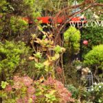 エクステリアとは？外構との違いや日々の暮らしに与える影響も解説！