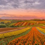 四季を感じられる庭（エクステリア）造りのポイントや施工例を紹介