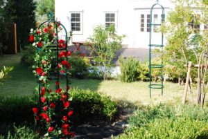 エクステリアガーデンフェアとは？理想の庭づくりへの活用法も解説！