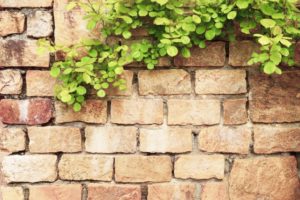 住宅メーカー・ホームセンター・外構専門業者の特徴を解説